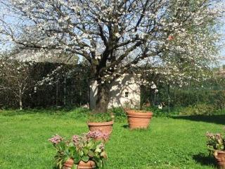 Gasthof Il Ramingo Lucca